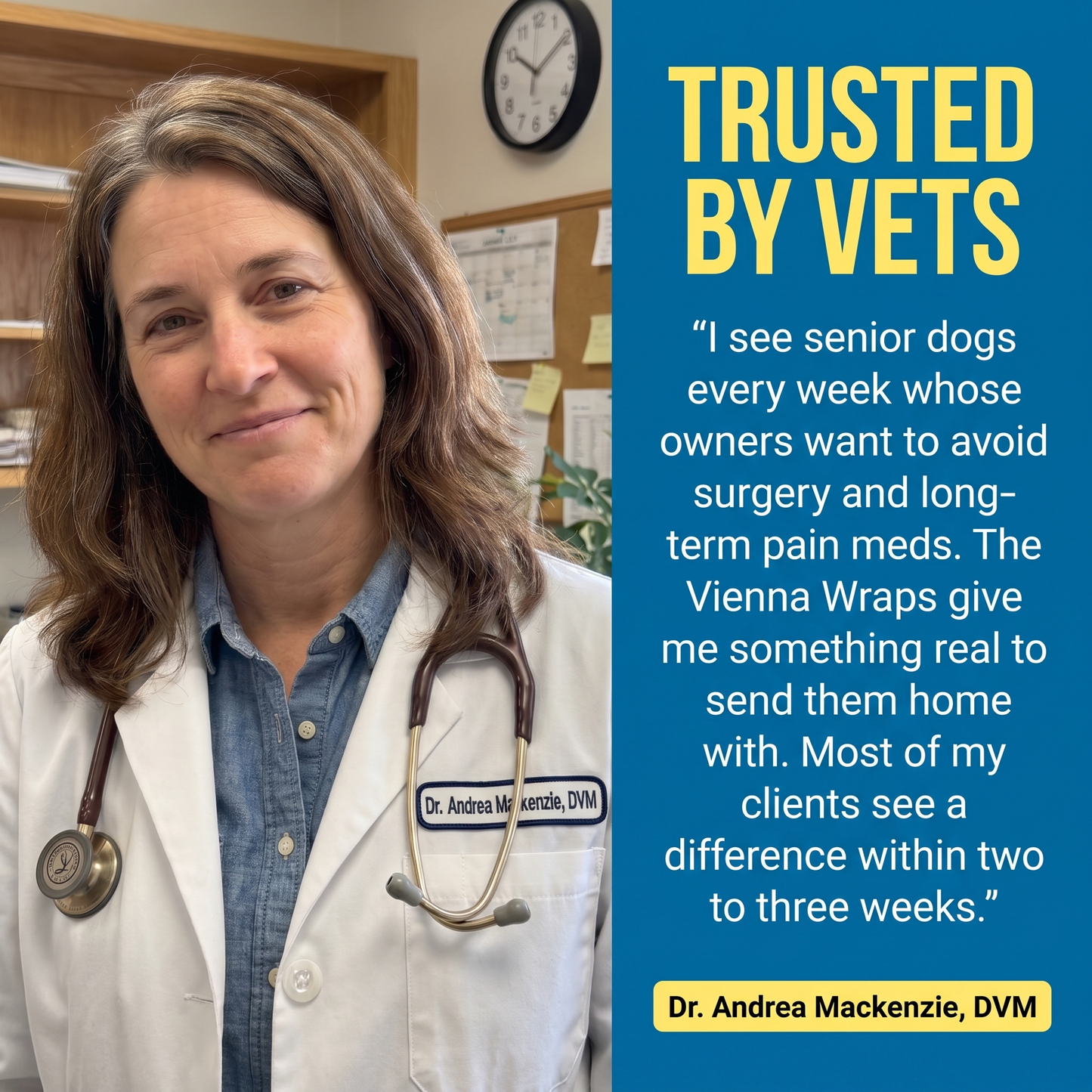 The Vienna Wraps™ for Senior Dogs